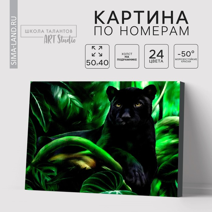 Картина по номерам на холсте с подрамником &laquo;Пантера&raquo;, 40 х 50 см