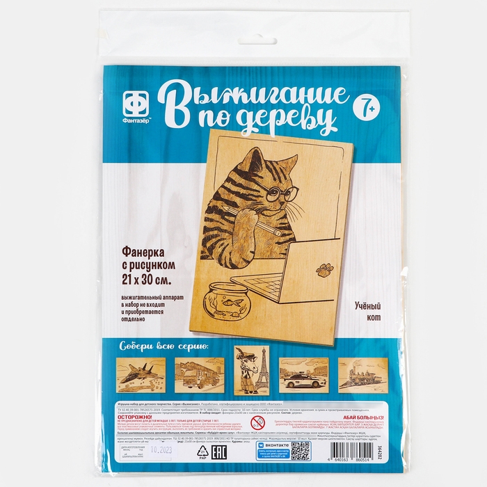 Основы для выжигания «Учёный кот» 30х21 см Основы для выжигания «Учёный кот» 30х21 см