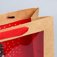 Пакет подарочный новогодний крафтовый с пластиковым окном &laquo;Новогодняя ёлка&raquo;, 24 х 20 х 11см