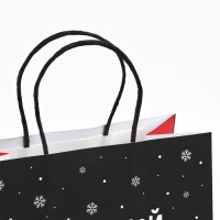 Пакет подарочный новогодний «Небольшой подарок», 22 х 22 х 11 см , Новый год Пакет подарочный новогодний «Небольшой подарок», 22 х 22 х 11 см , Новый год