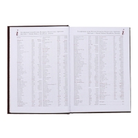 Ежедневник недатированный А5+, 136 листов Ideal new, обложка бумвинил, коричневый