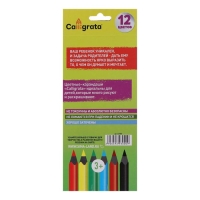 Карандаши цветные заточенные, 12 цветов, в картонной коробке Карандаши цветные заточенные, 12 цветов, в картонной коробке