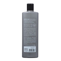 Шампунь-бальзам Syoss Men 2 в 1 Control&Care, 450 мл