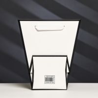 Пакет-переноска для цветов 10 &times; 10 &times; 20 х 18 см, белый с каймой