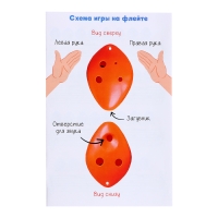 Развивающий набор «Звуковая флейта» Развивающий набор «Звуковая флейта»