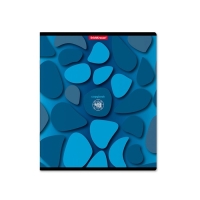 Тетрадь 48 листов в клетку, ErichKrause Color Stones, обложка мелованный картон, УФ-лак, блок офсет 100% белизна, МИКС (1 вид в спайке) Тетрадь 48 листов в клетку, ErichKrause Color Stones, обложка мелованный картон, УФ-лак, блок офсет 100% белизна, МИКС (1 вид в спайке)