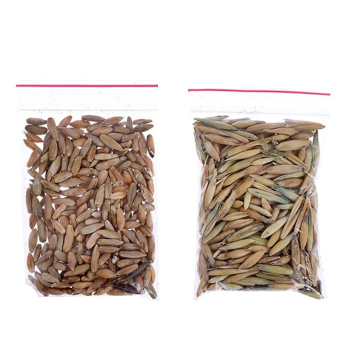 Набор для опытов «Твоя экоферма» Набор для опытов «Твоя экоферма»