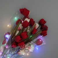 Плёнка упаковочная с гирляндой «Разноцветная», 60 х 60 см Плёнка упаковочная с гирляндой «Разноцветная», 60 х 60 см