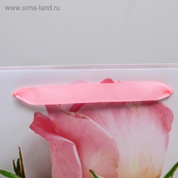 Пакет подарочный ламинированный вертикальный, упаковка, «Ты прекрасна», L 31 х 40 х 11,5 см Пакет подарочный ламинированный вертикальный, упаковка, «Ты прекрасна», L 31 х 40 х 11,5 см