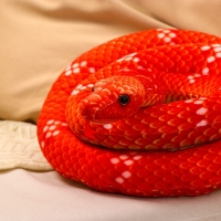 Мягкая игрушка «Змея», 200 см, цвет терракотовый Мягкая игрушка «Змея», 200 см, цвет терракотовый