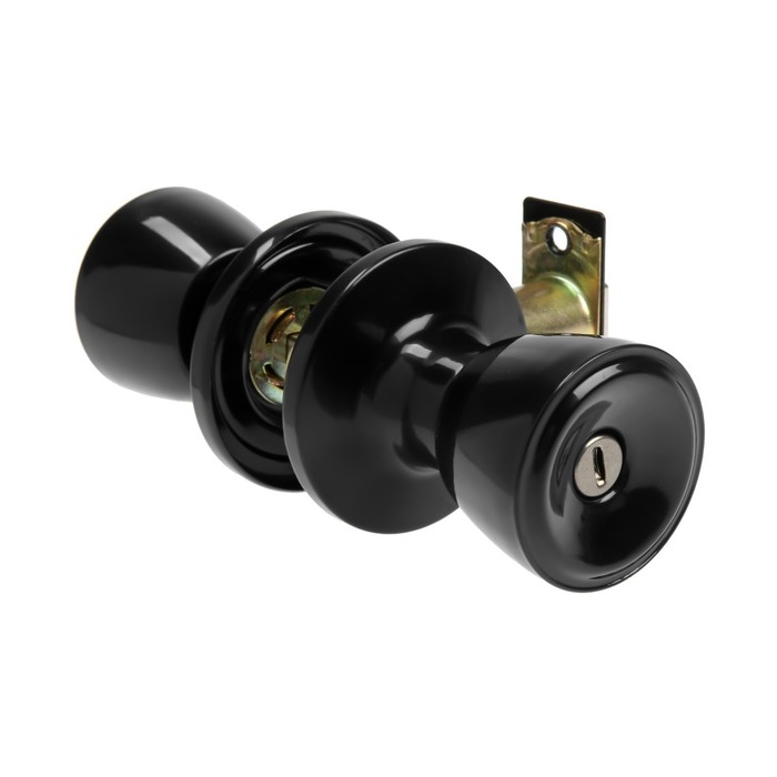 Защелка 1202, с фиксатором, цвет глянцевый черный Защелка 1202, с фиксатором, цвет глянцевый черный