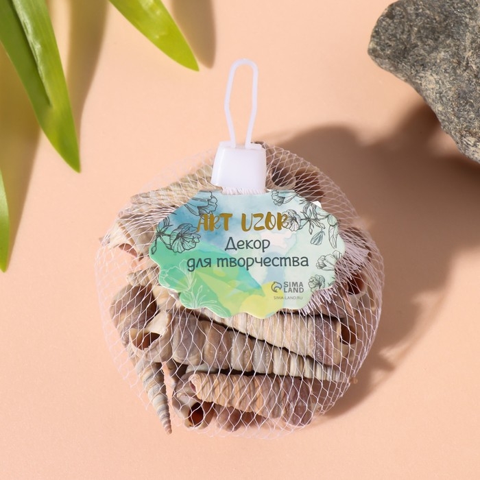 Ракушки природные декоративные "Спираль" набор 100 гр