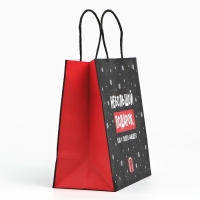 Пакет подарочный новогодний «Небольшой подарок», 22 х 22 х 11 см , Новый год Пакет подарочный новогодний «Небольшой подарок», 22 х 22 х 11 см , Новый год