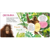 Книжки с окошками &laquo;Кто где живёт?&raquo;