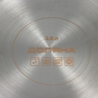 Кастрюля из нержавеющей стали &laquo;Грейт&raquo;, 2,8 л, капсульное дно, индукция