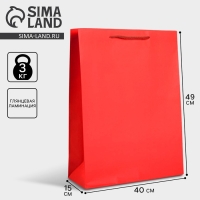 Пакет подарочный ламинированный, упаковка, &laquo;Красный&raquo;, 40 х 49 х 15 см