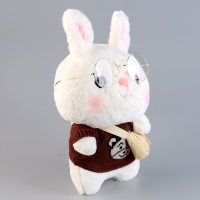 Мягкая игрушка «Зайка», в кофточке с сумочкой, 25 см, цвет МИКС Мягкая игрушка «Зайка», в кофточке с сумочкой, 25 см, цвет МИКС