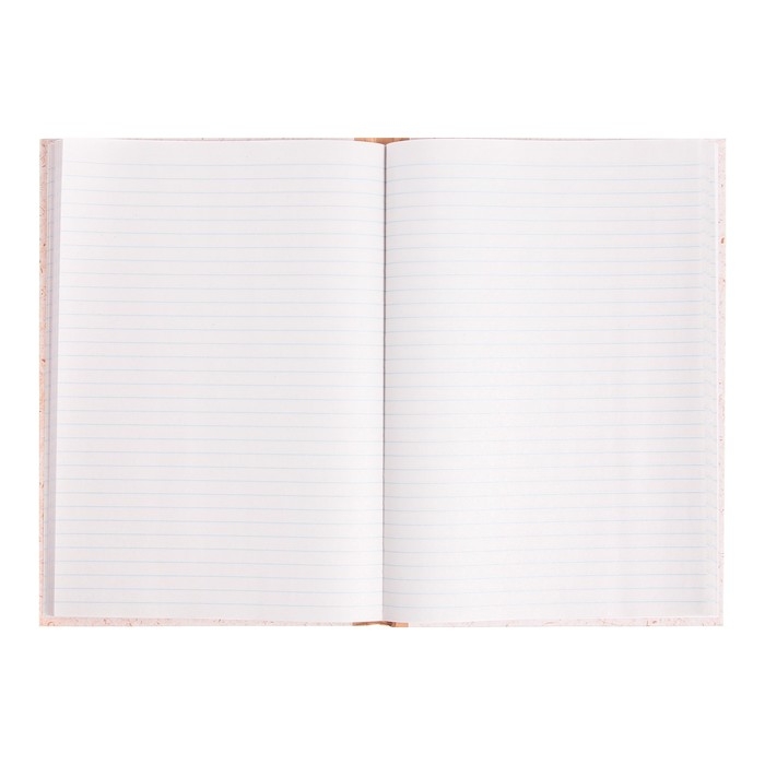 Книга учета, 96 листов, обложка картон 7Б, блок ГАЗЕТНЫЙ, линия, имитация КРАФТА Книга учета, 96 листов, обложка картон 7Б, блок ГАЗЕТНЫЙ, линия, имитация КРАФТА