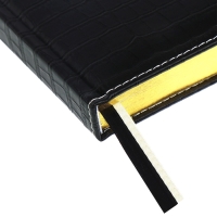 Ежедневник датированный 2024 A5 176 листов, deVENTE.Wild, твёрдая обложка из искусственной кожи, золотой срез, ляссе, кремовый блок 70 г/м2, чёрный Ежедневник датированный 2024 A5 176 листов, deVENTE.Wild, твёрдая обложка из искусственной кожи, золотой срез, ляссе, кремовый блок 70 г/м2, чёрный