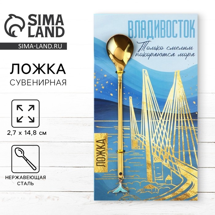 Ложка с подвесом &laquo;Владивосток&raquo;, 2,7 х 14,8 см