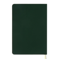 Ежедневник недатированный, A5, 136 листов, кожзам, deVENTE. Tropicana, твердая обложка, тиснение фольгой, перфорация, ляссе, блок 70%, темно-зеленый