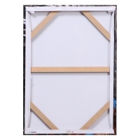 Картина на холсте "Миджиси-орлица", 50*70 см