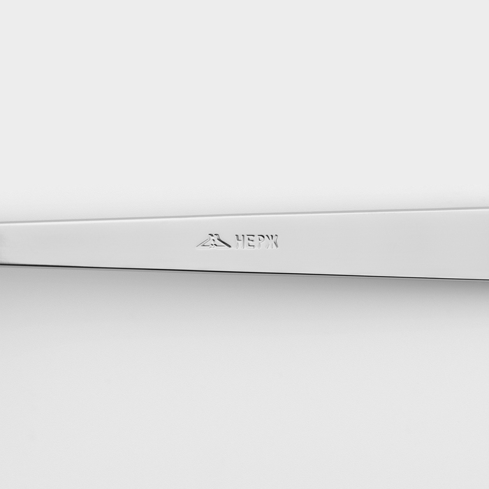 Ложка столовая &laquo;Аметист&raquo;, длина 19,8 см, толщина 2,5 мм, цвет серебряный