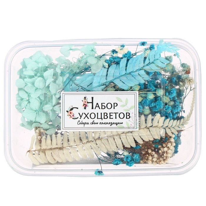 Набор для творчества «Набор сухоцветов», большой, голубой Набор для творчества «Набор сухоцветов», большой, голубой
