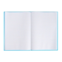 Книга учета, 96 листов, обложка картон 7БЦ, блок ГАЗЕТНЫЙ, клетка, цвет синий Книга учета, 96 листов, обложка картон 7БЦ, блок ГАЗЕТНЫЙ, клетка, цвет синий