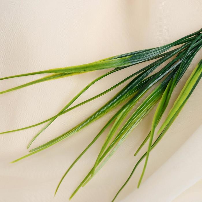 Букет Букет "Осока" 30 см