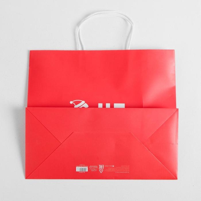 Пакет подарочный новогодний крафт &laquo;С НГ&raquo;, 25 х 22 х 12 см, Новый год