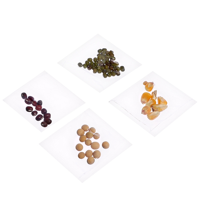 Набор для опытов &laquo;Экоферма&raquo;, своими руками