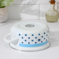 Кастрюля эмалированная Доляна «Свиристель», 1.5 л, индукция, цвет белый Кастрюля эмалированная Доляна «Свиристель», 1.5 л, индукция, цвет белый