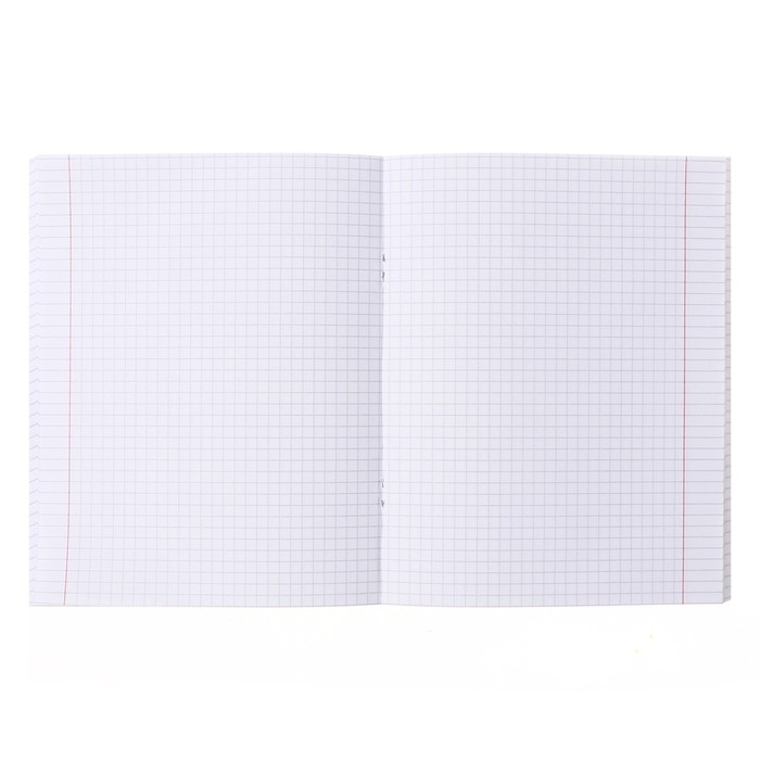 Тетрадь 96 листов в клетку Тетрадь 96 листов в клетку "Дивный сад", обложка мелованный картон, матовая ламинация, тиснение, блок офсет 65г/м2