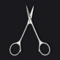 Ножницы маникюрные &laquo;Premium&raquo;, узкие, загнутые, 10,5 см, на блистере, цвет матовый серебристый