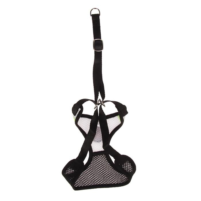 Шлейка регулируемая дышащая, светоотражающая, размер XL (ОШ 48-68; ОГ 58-72 см), чёрная Шлейка регулируемая дышащая, светоотражающая, размер XL (ОШ 48-68; ОГ 58-72 см), чёрная