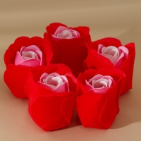 Подарочный набор косметики &laquo;Весна&raquo;, мыло лепестковое, ЧИСТОЕ СЧАСТЬЕ