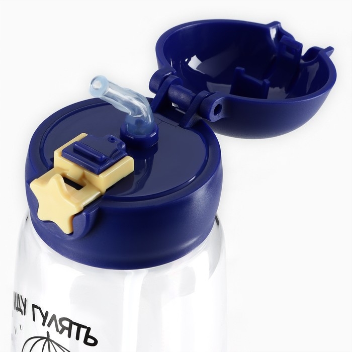 Бутылка для воды «Иду гулять в любую погоду», 750 мл Бутылка для воды «Иду гулять в любую погоду», 750 мл