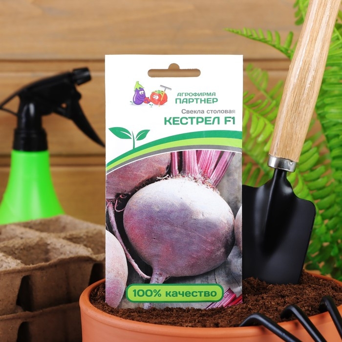 Семена Свекла столовая "Кестрел", F1, 1 г