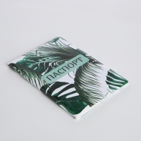 Обложка для паспорта, цвет зелёный Обложка для паспорта, цвет зелёный