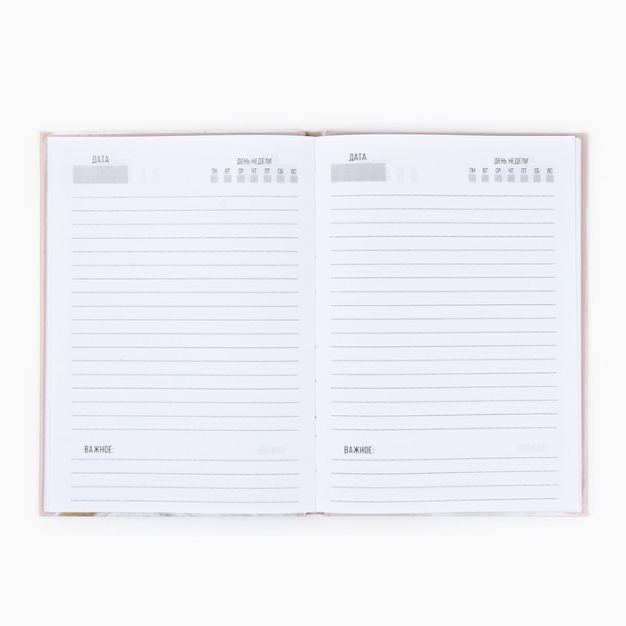 Ежедневник А5, 80 л, твердая обложка &laquo;Учителю: Золотой глобус с пером&raquo;