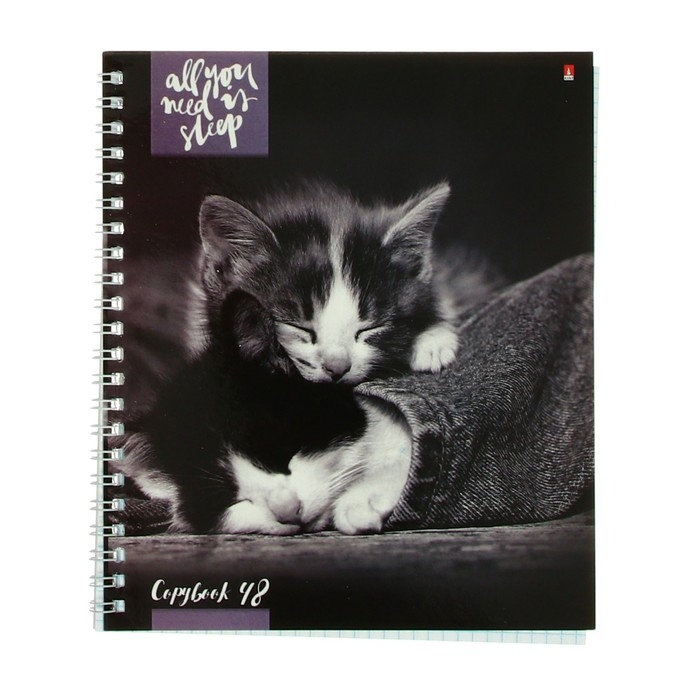 Тетрадь А5+, 48 листов в клетку, на гребне Тетрадь А5+, 48 листов в клетку, на гребне "Котята мур-мур", обложка мелованный картон, глянцевая ламинация, МИКС