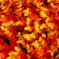 Декоративная панель, 60 × 40 см, «Осенняя трава», Greengo Декоративная панель, 60 × 40 см, «Осенняя трава», Greengo