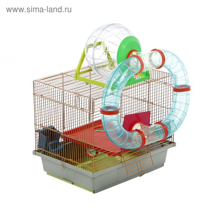 Клетка для грызунов двухъярусная с лабиринтом и колесом, 39 x 29 х 33 см, микс цветов Клетка для грызунов двухъярусная с лабиринтом и колесом, 39 x 29 х 33 см, микс цветов