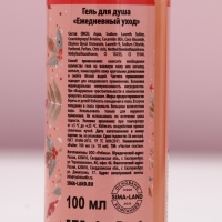 Подарочный набор ЧИСТОЕ СЧАСТЬЕ &laquo;Исполнения желаний&raquo;: гель для душа 100 мл и мочалка для тела, Новый Год