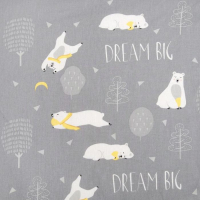 Постельное бельё "Этель" Большие мечты 143х215 см, 150х214 см, 50х70 см -1 шт, 100% хлопок, бязь 125 г/м2 Постельное бельё "Этель" Большие мечты 143х215 см, 150х214 см, 50х70 см -1 шт, 100% хлопок, бязь 125 г/м2