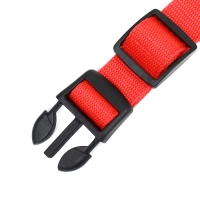 Ошейник с подсветкой Двойная полоса размер S, ОШ 35-43 х 2,5 см, 3 режима свечения красный 977224 Ошейник с подсветкой Двойная полоса размер S, ОШ 35-43 х 2,5 см, 3 режима свечения красный 977224