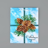 Пакет подарочный новогодний ламинированный &laquo;С Новым годом&raquo;, шишки, MS 18 х 23 х 8 см, Новый год