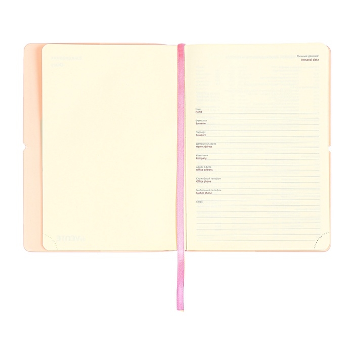 Ежедневник недатированный A5 136 листов deVENTE. Jane, мягкая обложка пвх, резинка, перфорация, ляссе, блок 70, розовый