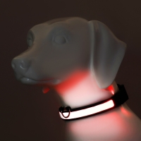 Ошейник с подсветкой Flash 3 режима свечения размер L, ОШ 45-52 х 2,5 см красный Ошейник с подсветкой Flash 3 режима свечения размер L, ОШ 45-52 х 2,5 см красный